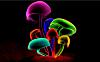     
: Colorful_Mushrooms(www.TheWallpapers.org).jpg
: 541
:	66.9 
ID:	6378